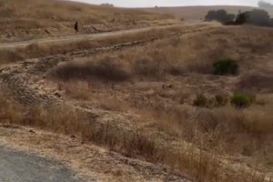连库里都选择去户外进行轻越野训练 吧友们你们还不赶紧跑起来